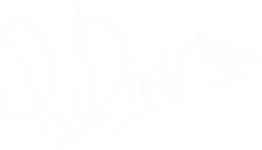 romain dufau photographe logo